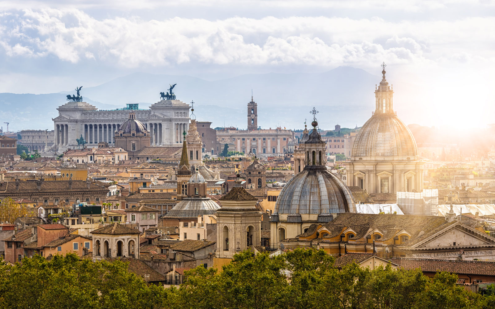 Italian Language Project Leadership
